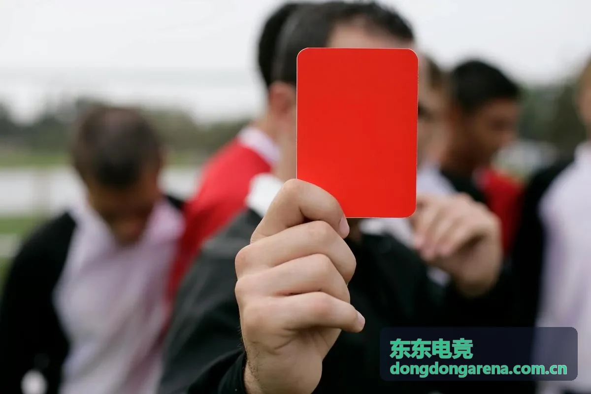 东东电竞编辑精选：年度电竞数据报告